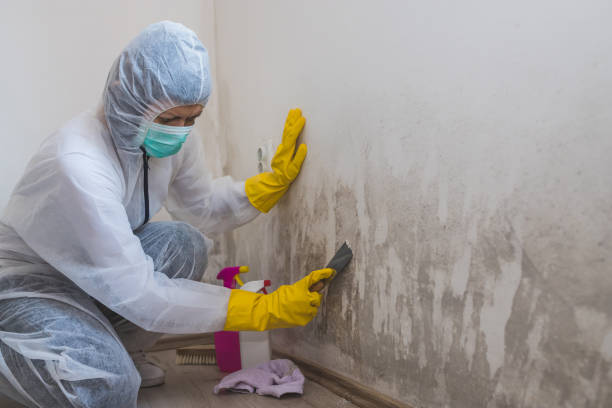 Water Damage Restoration in Macom, IL