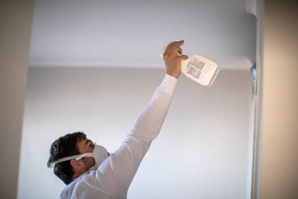 Best Residential Mold Removal  in Macom, IL