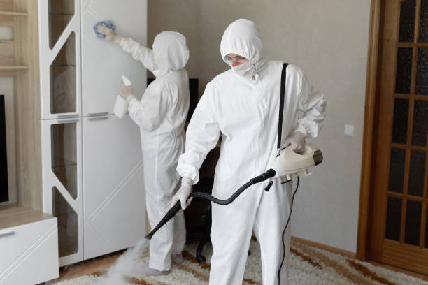Trusted Macom, IL Mold Removal Experts